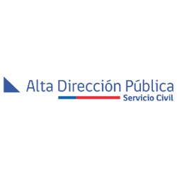 CONSULTORIA ALTA DIRECCION PUBLICA